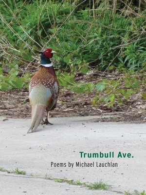 cover image of Trumbull Ave.